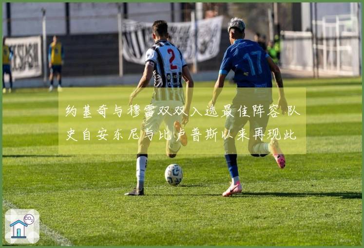 约基奇与穆雷双双入选最佳阵容 队史自安东尼与比卢普斯以来再现此景